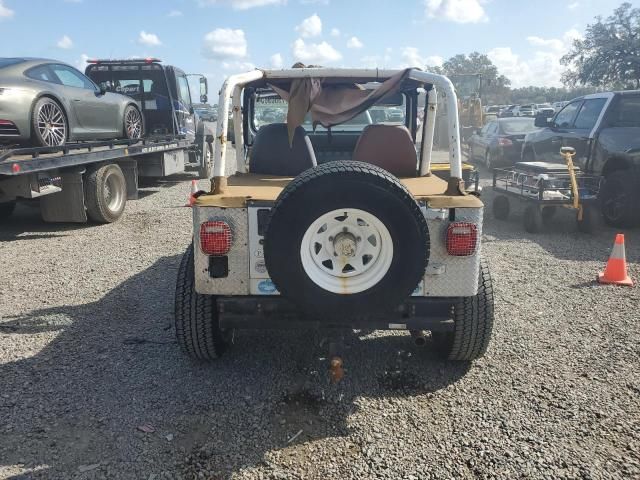 1992 Jeep Wrangler / YJ S