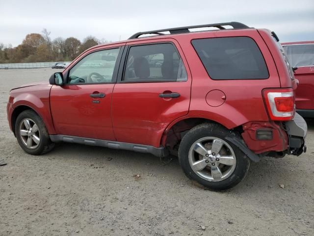 2009 Ford Escape XLT