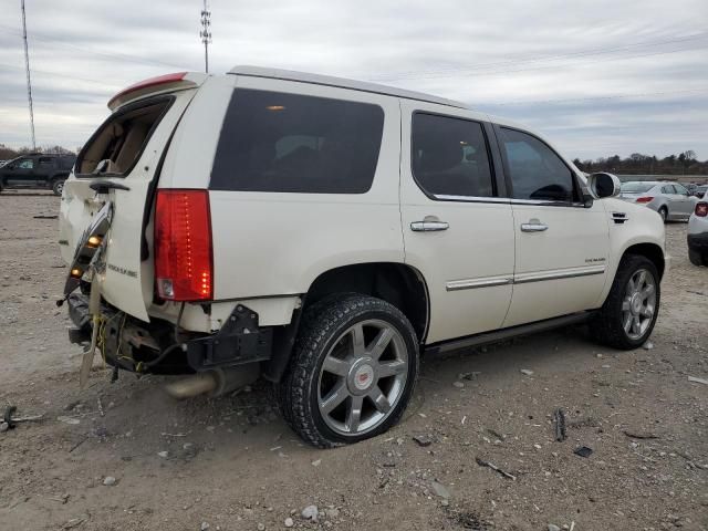 2010 Cadillac Escalade Premium