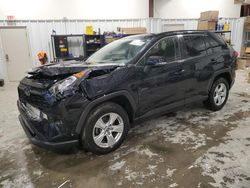 Salvage cars for sale at Earlington, KY auction: 2019 Toyota Rav4 XLE