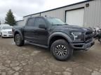 2019 Ford F150 Raptor