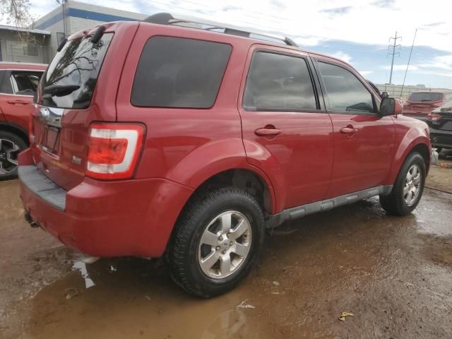 2011 Ford Escape Limited