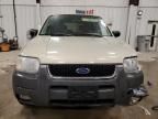 2004 Ford Escape XLT