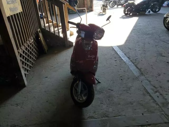 2021 Genuine Scooter Co. Buddy 50