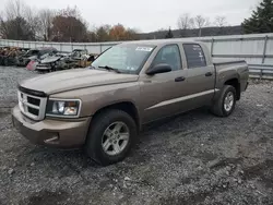 2010 Dodge Dakota SXT en venta en Grantville, PA