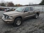 2010 Dodge Dakota SXT