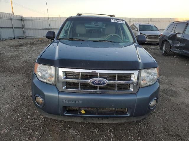 2011 Ford Escape XLT