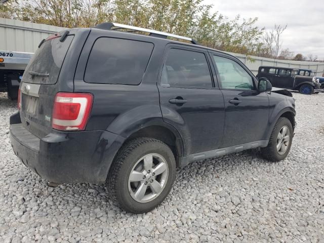 2010 Ford Escape Limited