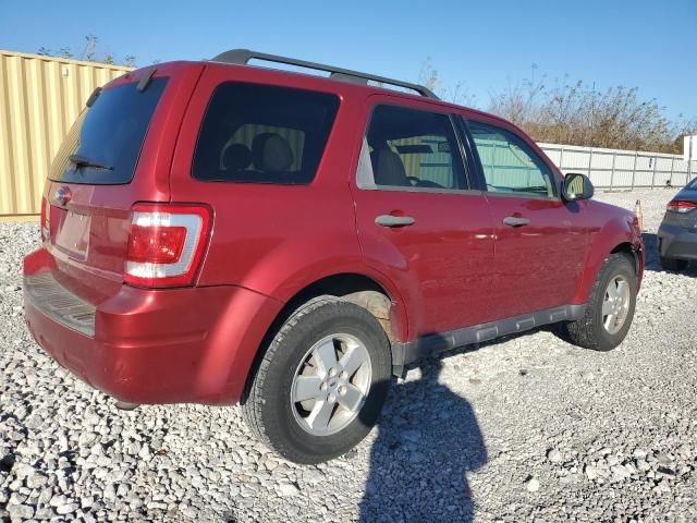 2009 Ford Escape XLT