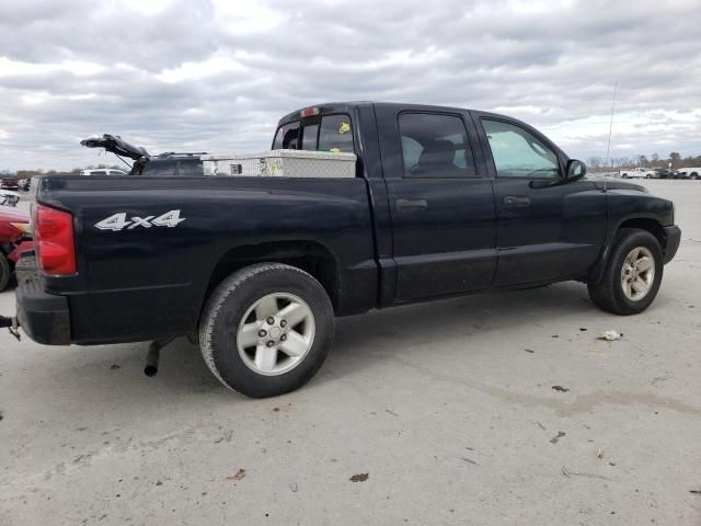 2005 Dodge Dakota Quattro