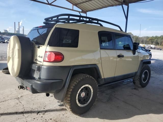 2010 Toyota FJ Cruiser