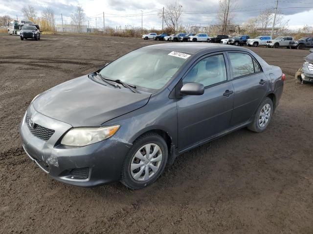 2010 Toyota Corolla Base