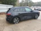 2024 Ford Escape ST Line