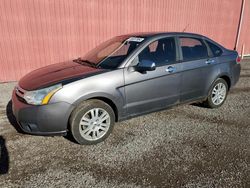 2011 Ford Focus SEL en venta en London, ON