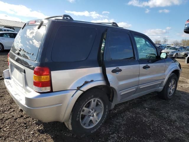 2003 Ford Escape XLT