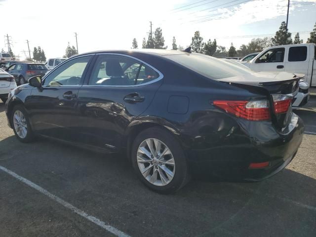 2014 Lexus ES 300H