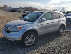 Salvage cars for sale at Hillsborough, NJ auction: 2010 Honda CR-V EXL