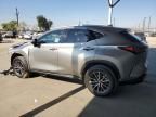 2023 Lexus NX 250