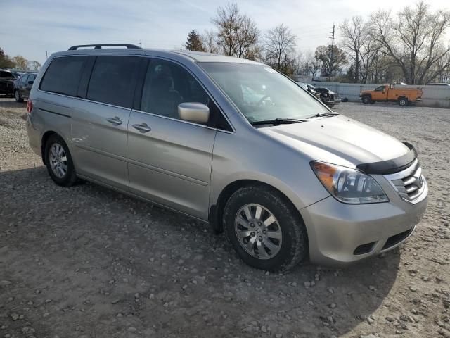 2008 Honda Odyssey EXL