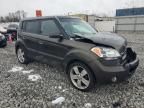 2010 KIA Soul +