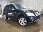 2009 Mercedes-Benz ML 350