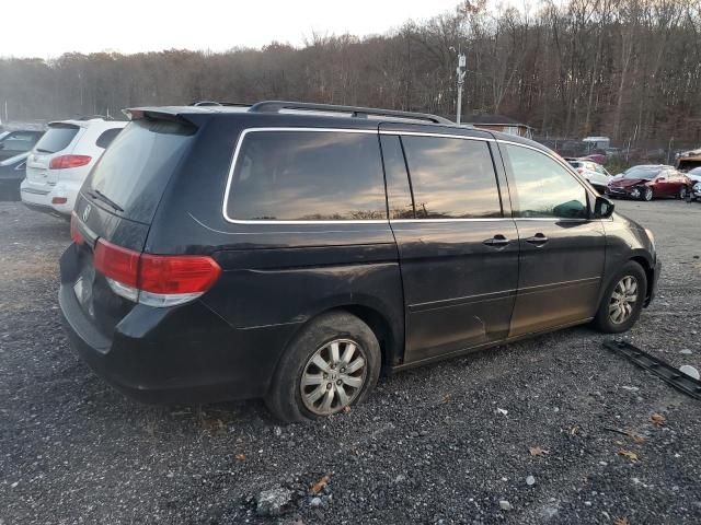 2008 Honda Odyssey EXL