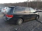 2008 Honda Odyssey EXL