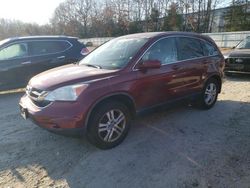 Honda salvage cars for sale: 2011 Honda CR-V EXL