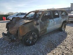 Salvage cars for sale at Wayland, MI auction: 2011 Cadillac Escalade ESV Platinum