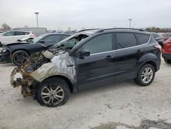 Salvage cars for sale from Copart Indianapolis, IN: 2018 Ford Escape SE