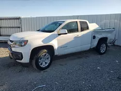 Salvage cars for sale at Riverview, FL auction: 2022 Chevrolet Colorado LT