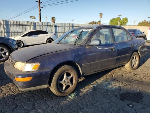 1996 Toyota Corolla DX