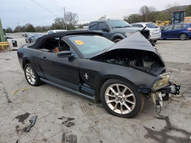 2010 Ford Mustang