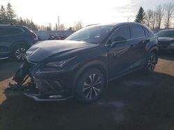 Lexus Vehiculos salvage en venta: 2019 Lexus NX 300 Base