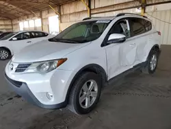 Salvage cars for sale at Phoenix, AZ auction: 2013 Toyota Rav4 XLE