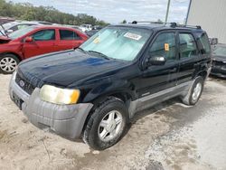 Ford Escape salvage cars for sale: 2001 Ford Escape XLT