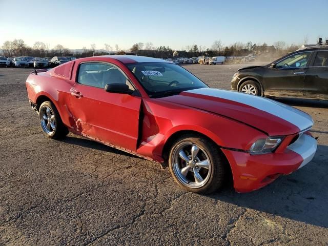 2010 Ford Mustang