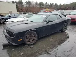 Compre carros salvage a la venta ahora en subasta: 2013 Dodge Challenger SXT