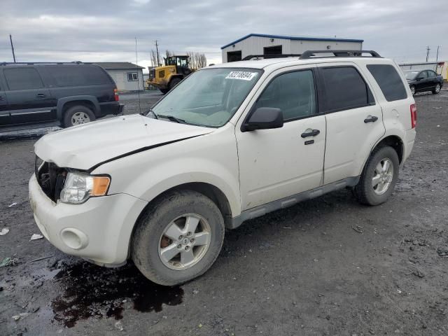 2009 Ford Escape XLT