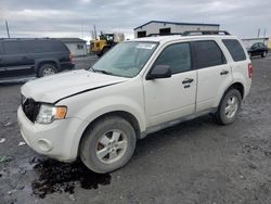 Salvage cars for sale from Copart Airway Heights, WA: 2009 Ford Escape XLT