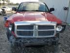 2006 Dodge Dakota SLT