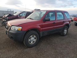 Salvage cars for sale at Helena, MT auction: 2005 Ford Escape XLS