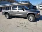 2004 Dodge Dakota Quad Sport