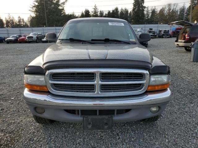 2004 Dodge Dakota SLT