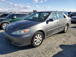 Salvage cars for sale from Copart Antelope, CA: 2002 Toyota Camry LE