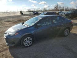 Salvage cars for sale at London, ON auction: 2019 Toyota Corolla L