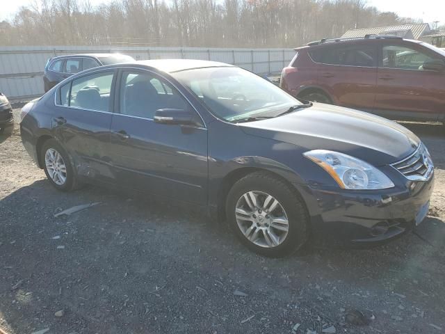 2010 Nissan Altima Base