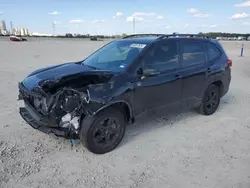 2024 Subaru Forester Wilderness en venta en New Braunfels, TX