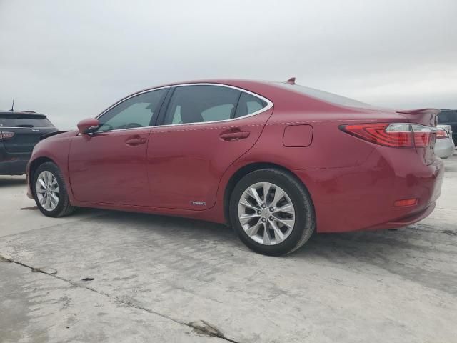 2013 Lexus ES 300H