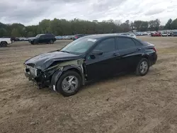 Hyundai Elantra salvage cars for sale: 2024 Hyundai Elantra SE